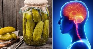 alimentos fermentados