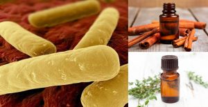 aceites esenciales