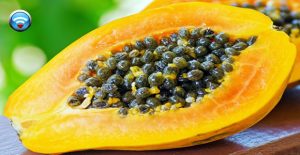 semillas de papaya